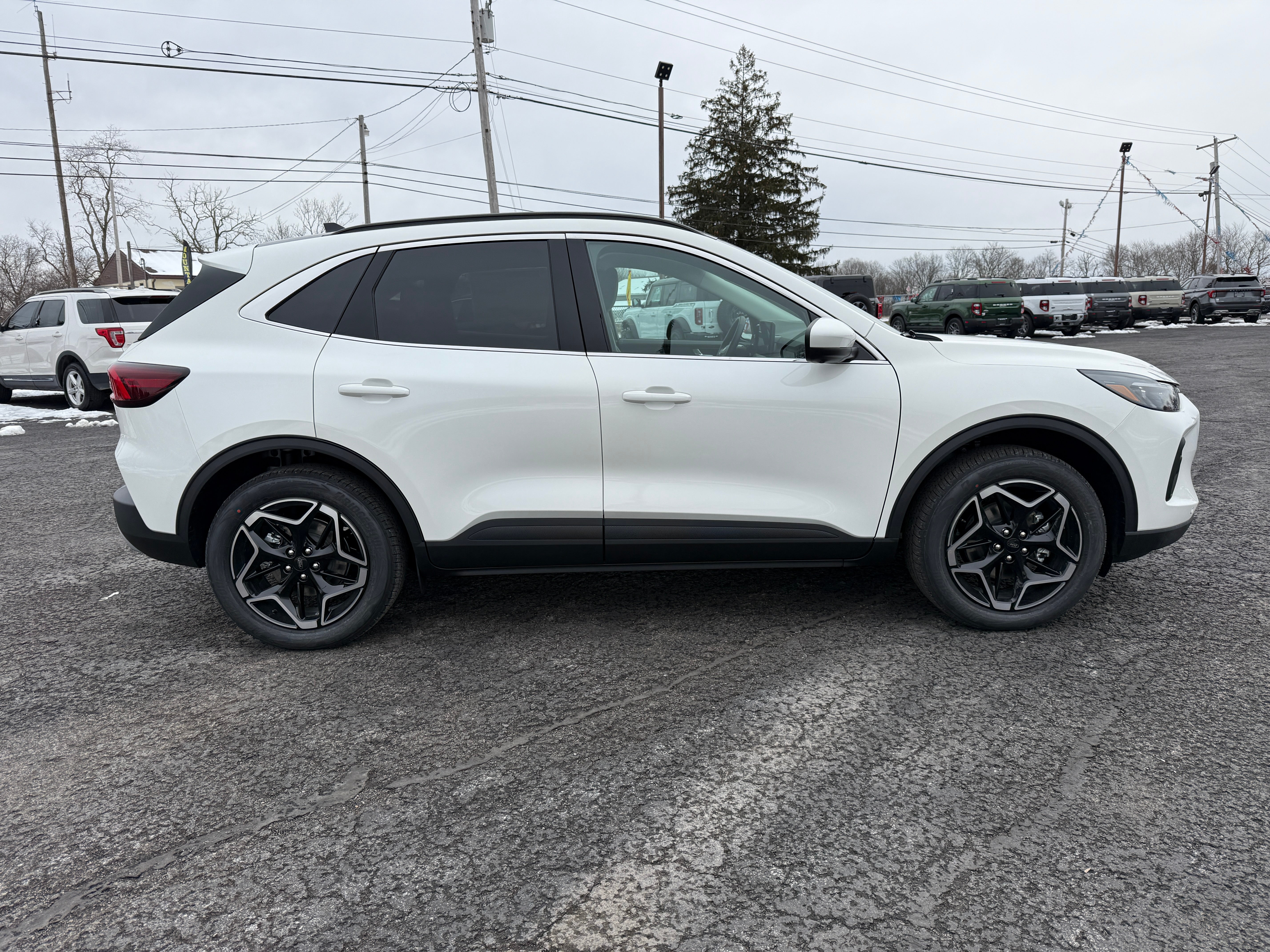 2026 Ford Escape Platinum AWD